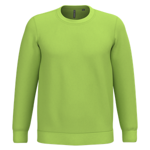 Crew Neck Sweatshirt, miniatyr 16